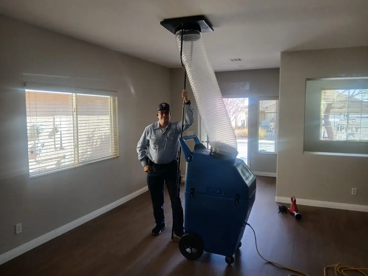 Professional Dryer Vent Cleaning work inside a North Arlington home